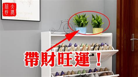 鞋櫃上放植物|鞋櫃上適合放什麼植物